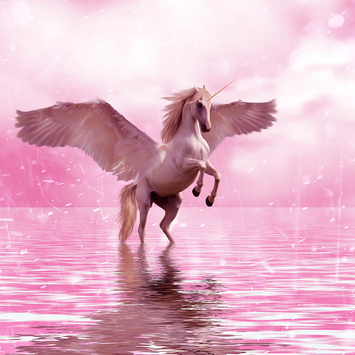 sfondo di unicorno sul corpo d'acqua, unicorno, ali, cavallo, fantasia, Sfondo HD