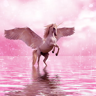 jednorożec na wodzie, jednorożec, skrzydła, koń, fantasy, Tapety HD HD wallpaper