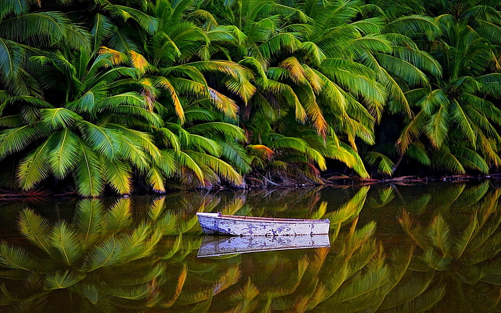 barco blanco sobre cuerpo de agua, naturaleza, paisaje, palmeras, selva, lago, barco, Australia, tropical, isla, agua, reflexión, Fondo de pantalla HD
