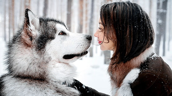 Husky sibérien blanc et noir, husky sibérien blanc devant la femme, animaux, femmes à l'extérieur, souriant, Malamute d'Alaska, eau, chien, nuit, neige, veste brune, Fond d'écran HD HD wallpaper