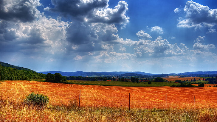 braune Rasenfläche, Zaun, Schutz, Feld, Farben, HD-Hintergrundbild