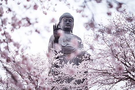 Kirschblüten, Statue, Buddha, Religion, HD-Hintergrundbild HD wallpaper