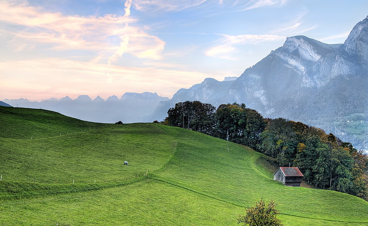 Mountain Pasture HD Wallpaper, erba di campo verde, natura, paesaggio, montagna, pascolo, Sfondo HD