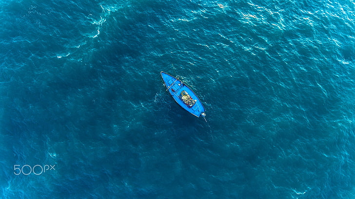 blue canoe, aerial view, vehicle, water, boat, added, shark, dangerous, HD wallpaper