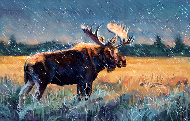 elk, animals, moose, artwork, rain, HD wallpaper