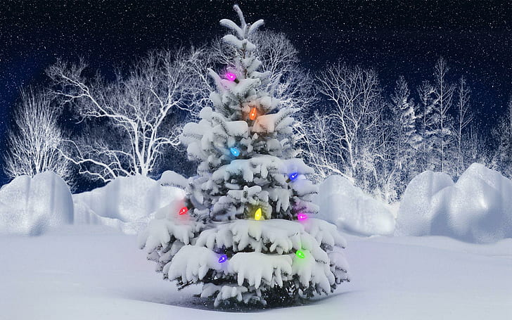 Outdoors Christmas Tree, snow covered pine tree painting, holidays, 1920x1200, snow, winter, christmas, star, merry christmas, HD wallpaper