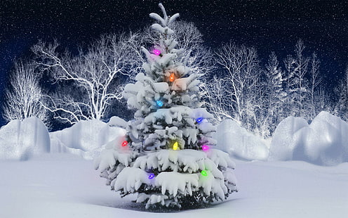 ต้นคริสต์มาสกลางแจ้งภาพวาดต้นสนที่ปกคลุมด้วยหิมะวันหยุด 1920x1200 หิมะฤดูหนาวคริสต์มาสดาวสุขสันต์วันคริสต์มาส, วอลล์เปเปอร์ HD HD wallpaper