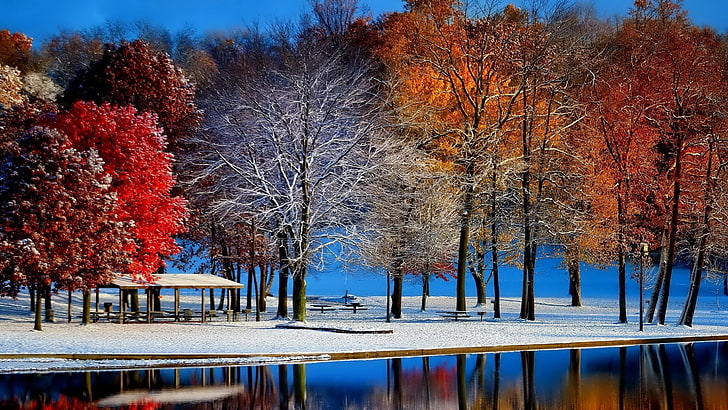 зима, отражение, природа, снег, вода, дерево, лист, небо, древесные растения, замерзание, осень, озеро, ветка, мороз, утро, HD обои