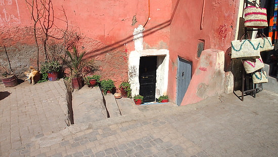 Pintu depan rumah di Marrakech, pot tanaman hijau, pintu, marrakech, maroko, dunia, timur, beragam, Wallpaper HD HD wallpaper