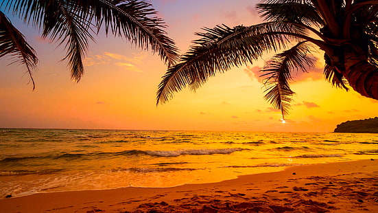 cielo, mare, tropici, tramonto, palma, arecales, paesaggio tropicale, tropicale, riva, orizzonte, vista sul mare, oceano, spiaggia, luce del sole, sera, Sfondo HD HD wallpaper