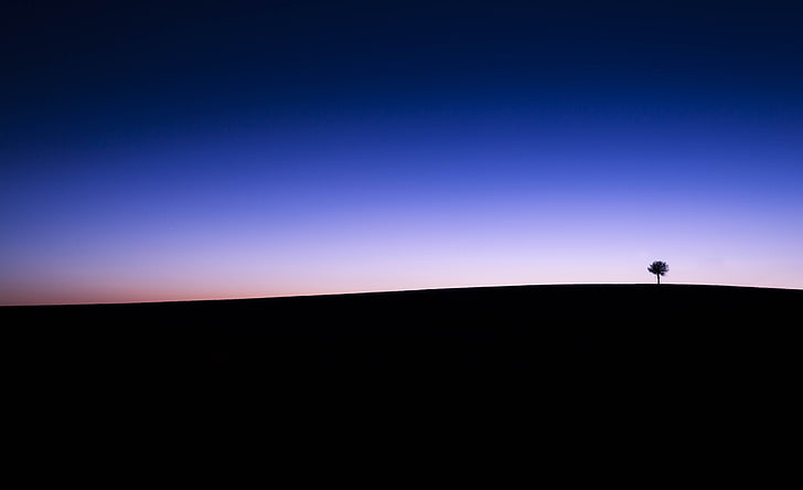 Silhouette, Horizont, Bäume, HD-Hintergrundbild