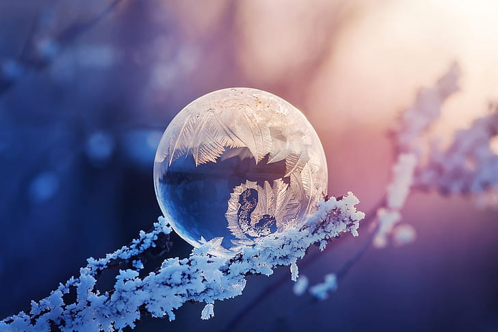 burbuja congelada, invierno, fotografía, naturaleza, Fondo de pantalla HD