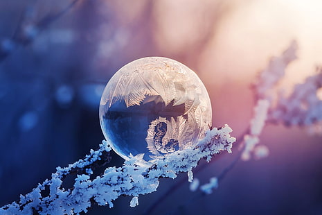 замерзший пузырь, зима, фотография, природа, HD обои HD wallpaper