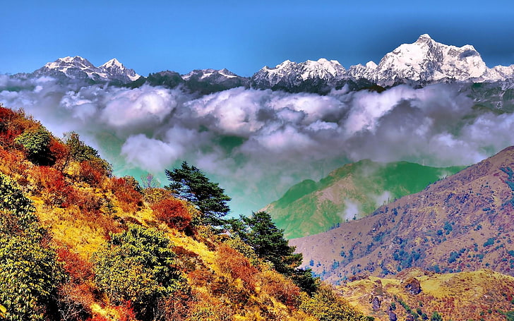 Roof of the Himalayas HD scenery Wallpaper 15, green-leafed trees, HD wallpaper