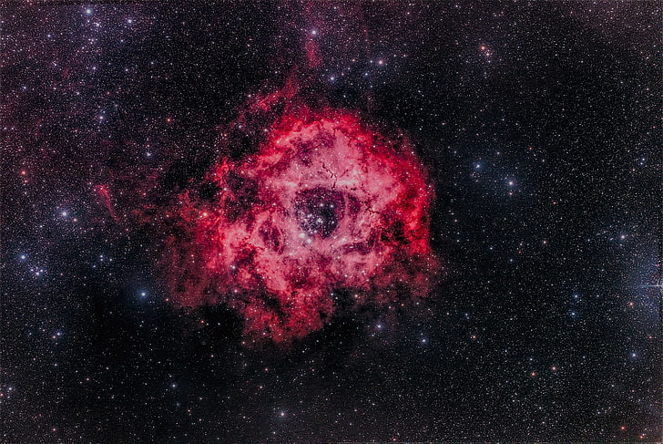 4K, Bintang, Rosette Nebula, Galaxy, NGC 2244, Wallpaper HD