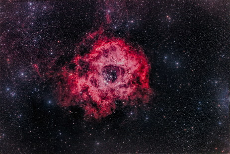 4K, 별, 장미 성운, 은하, NGC 2244, HD 배경 화면 HD wallpaper