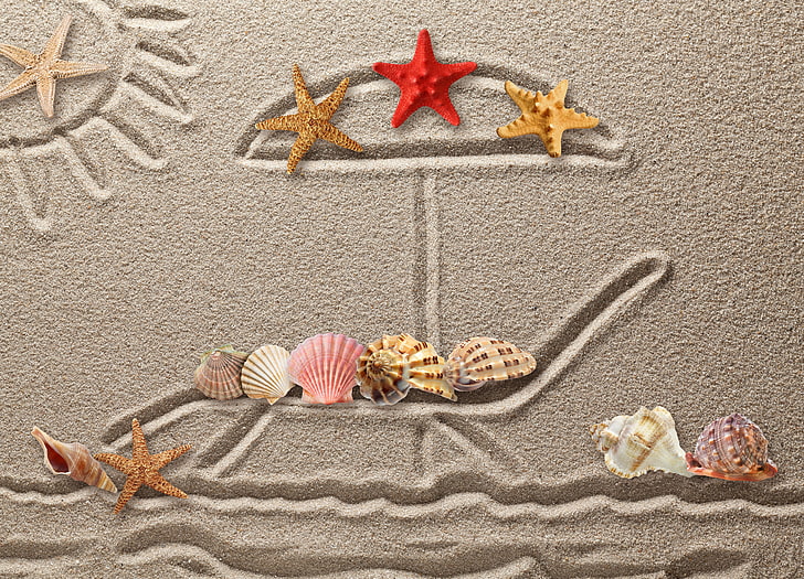 sea shell and sand wallpaper, sand, figure, shell, texture, drawing, starfish, seashells, HD wallpaper