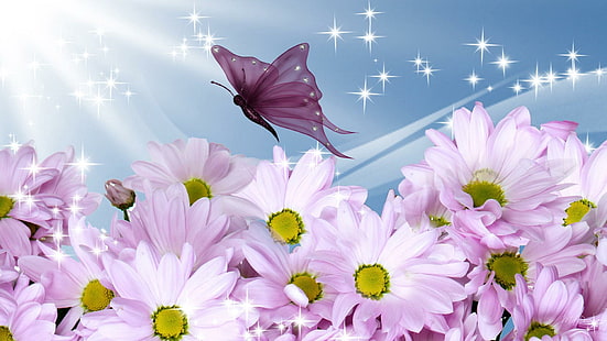 Sommer scheint auf Blumen, Firefox Persona, Lavendel, Schmetterling, Frühling, Seide, Glanz, Licht, Gerbera, Sommer, Leuchten, Gänseblümchen, 3d und, HD-Hintergrundbild HD wallpaper