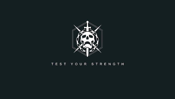 Tapeta z czaszką Test Your Strength, Destiny (gra wideo), Tapety HD