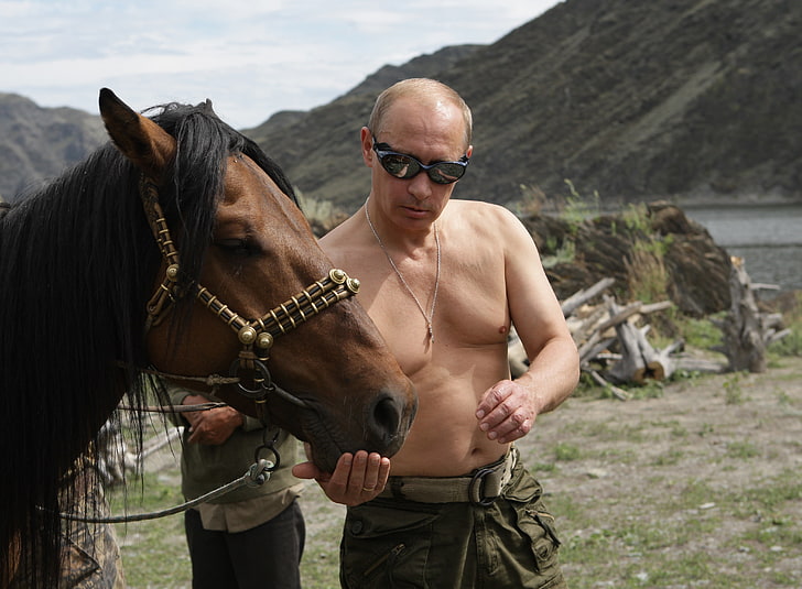 茶色の馬、ウラジミールプーチン、ロシア大統領、ロシア首相、馬、自然、プーチン、山、 HDデスクトップの壁紙