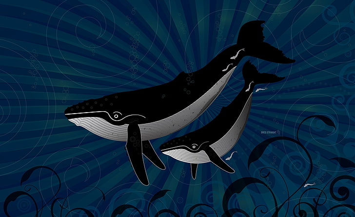 クジラのイラストhd壁紙無料ダウンロード Wallpaperbetter