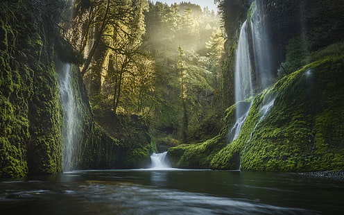 водопады, пейзажи водопадов в дневное время, природа, пейзаж, Орегон, водопад, мох, лес, туман, США, сосны, вода, долина, река, HD обои HD wallpaper