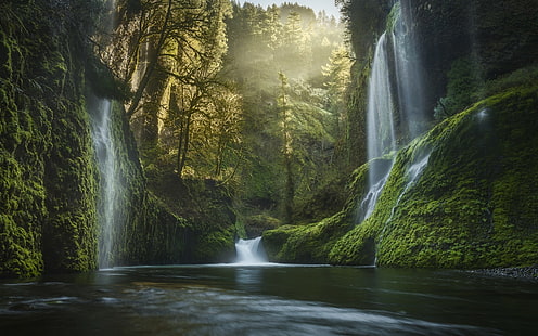 EUA, cachoeira, água, pinheiros, musgo, névoa, floresta, rio, natureza, paisagem, Oregon, vale, HD papel de parede HD wallpaper