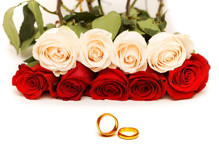 beige and red roses, photo, Flowers, Roses, Ring, HD wallpaper