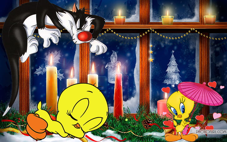 Looney Tunes Tweety Bird And Sylvester Cat Christmas Candles Cartoons Hd Wallpaper For Mobile Phones Tablet And Pc 2560×1600, HD wallpaper