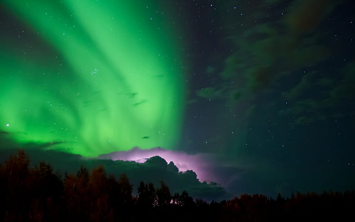 Aurora Borealis Northern Lights Night Stars HD, zorza polarna, natura, noc, gwiazdy, światła, zorza polarna, zorza polarna, północna, Tapety HD