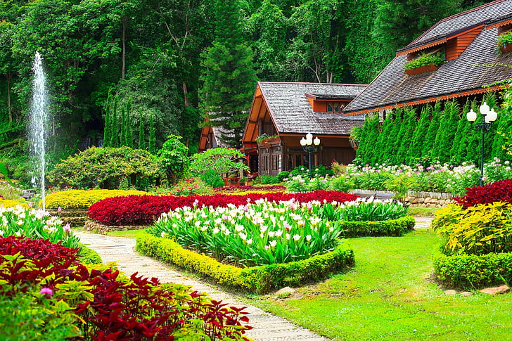 Gärten, Gras, Häuser, Natur, Sträucher, Tulpen, HD-Hintergrundbild