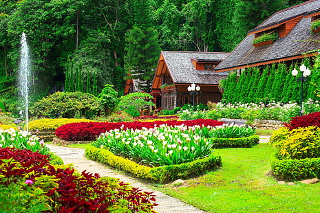 giardini, erba, case, natura, arbusti, tulipani, Sfondo HD HD wallpaper