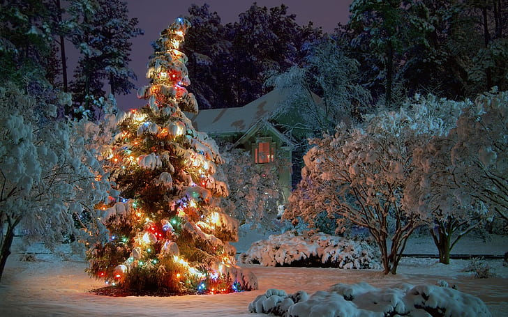 природа зима сняг дървета къщи коледни празници коледни светлини коледно дърво архитектура къщи HD изкуство, зима, природа, къщи, дървета, Коледа, сняг, HD тапет