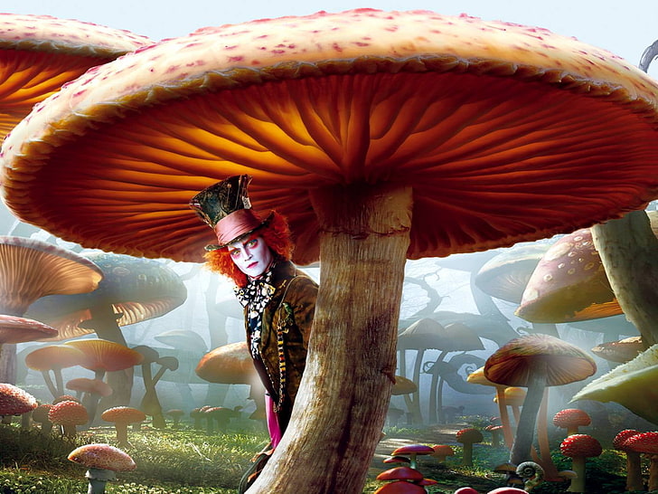 brown mushroom illustration, mushrooms, Alice in Wonderland, Hatter, HD wallpaper