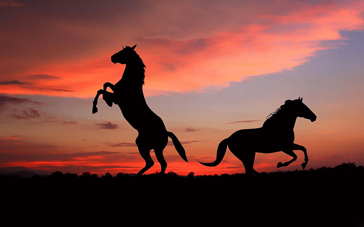 Kuda siluet bayangan matahari terbenam-Padang Rumput hewan HD .., dua siluet kuda, Wallpaper HD