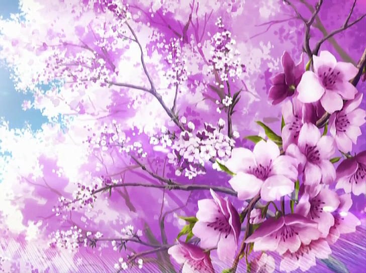 زهرة ، زهرة اليابان ، ساكورا، خلفية HD