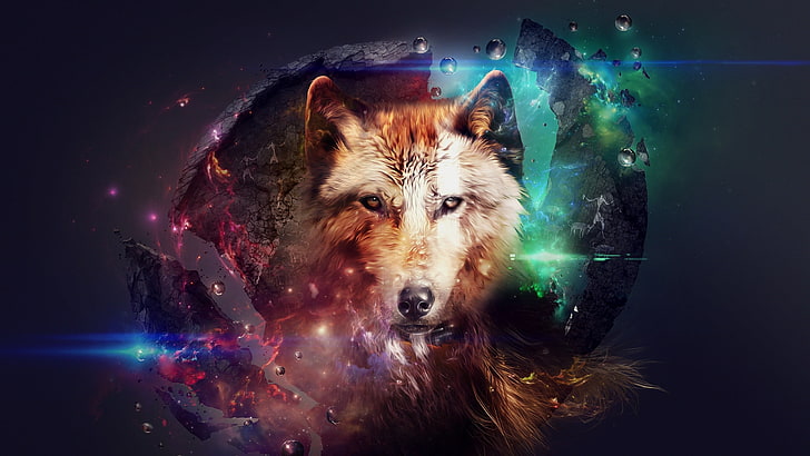 brown and black wolf digital wallpaper, artwork, wolf, planet, space, fire, stars, fantasy art, science fiction, HD wallpaper