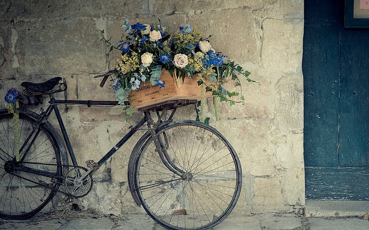 Soporte para flores de bicicleta, bicicleta, vintage, Fondo de pantalla HD  | Wallpaperbetter