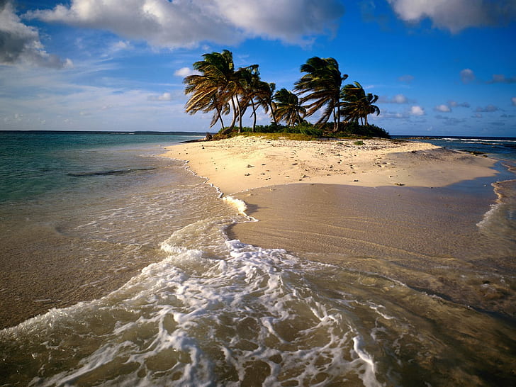 Sandy Island Caribbean HD, plage, île, Caraïbes, sable, Fond d'écran HD