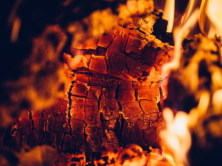 burning coal, fire, the fire, flame. ember, HD wallpaper