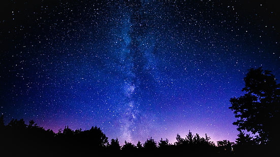 siluet pohon di bawah langit yang cerah di malam hari, ruang, bintang, nebula, galaksi, seni ruang angkasa, Wallpaper HD HD wallpaper