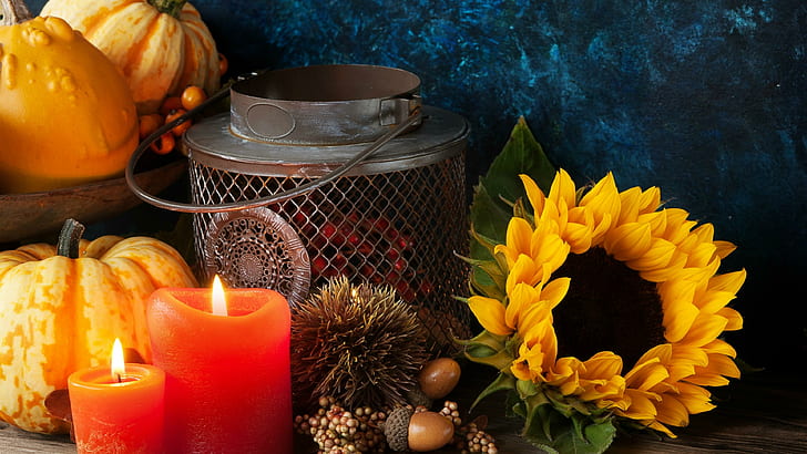 Photography, Still Life, Candle, Fall, Gourd, Sunflower, HD wallpaper
