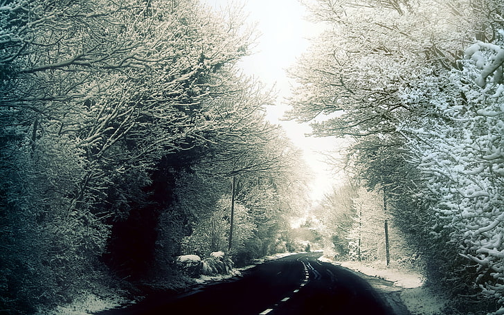 zima śnieg drzewa lasy wspomnienia drogi george harrison 1920x1200 Natura Zima HD Sztuka, Zima, śnieg, Tapety HD