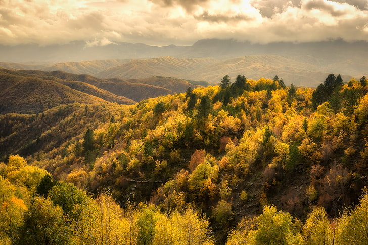 въздушна снимка на гора, природа, пейзаж, облаци, планини, дървета, хълмове, есен, HD тапет