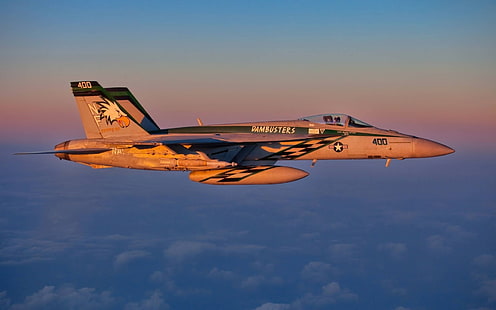gray jet plane, Boing F/A-18F Super Hornet, military, military aircraft, jet fighter, sunlight, HD wallpaper HD wallpaper