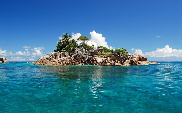 islote cubierto de árboles, seychelles, tropical, isla, Fondo de pantalla HD