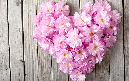 Pembe çiçekler, aşk kalp, ahşap tahta, pembe, çiçekler, aşk, kalp, ahşap, tahta, HD masaüstü duvar kağıdı HD wallpaper