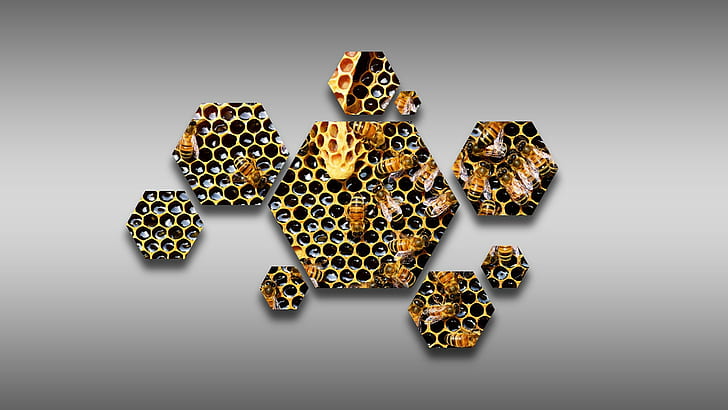 hexagon, bees, beecube, beehive, hive, honeycombs, honey, HD wallpaper