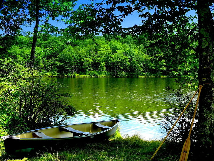 الطبيعة ، القارب ، النهر، خلفية HD