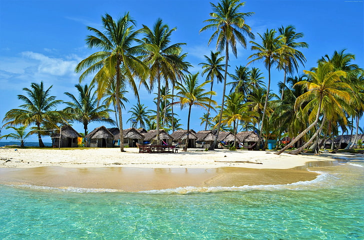 хижа, остров, Малдиви, океан, палма, курорт, море, дърво, тропически, HD тапет